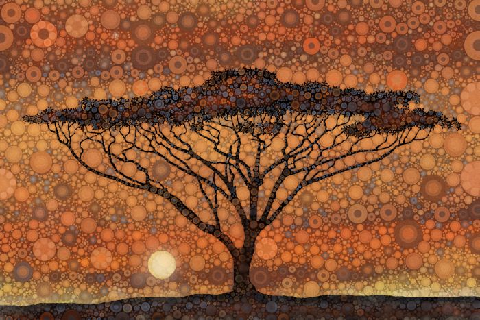 Acacia Sunset, digital collage